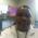 profile pic of the author