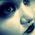 profile pic of the author