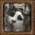 profile pic of the author