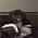 profile pic of the author