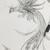 profile pic of the author