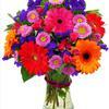 Just Babies Breath Bridal Bouquet Mebane, NC Florist, Gallery Florist and  Gifts, Inc., Mebane Fudge Factory, Voted Best Florist in Mebane North  carolina. Voted Best Gift Store delivering flowers in mebane and