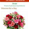 Top 938 Avas Flowers Reviews Page 5