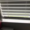 budget blinds vs home depot