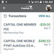 capital one phone number pay bill