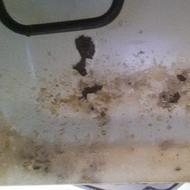 Top 361 Reviews And Complaints About Emerson Microwave Page 6 We Purchased Our Emerson Microwave Grill Combo Around 2017 Paint Has Led Flaked Off On The Roof Of It In Front Bottom Where Door Closes