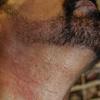 class actio lawsuit against just for men beard dye