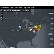 ancestry immigration paths