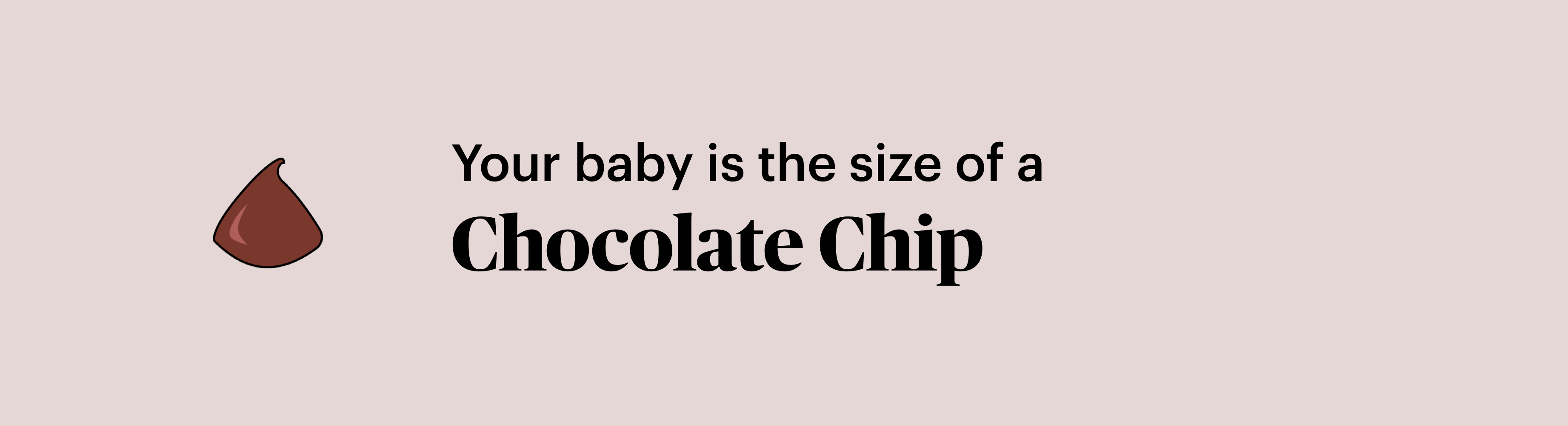 pregnancy marker chocolate chip