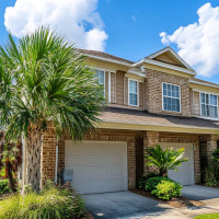 a house with palm plants