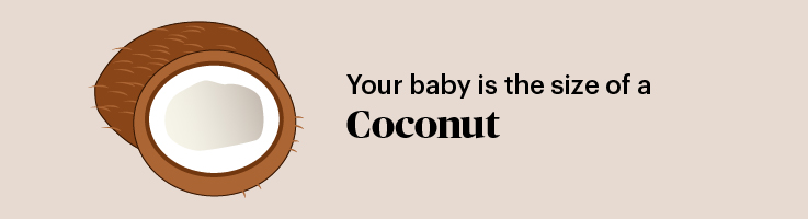 pregnancy marker coconut