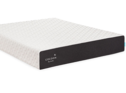 chill cocoon by sealy mattress
