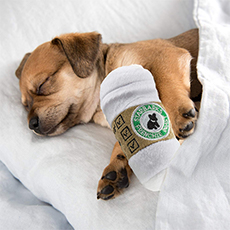 coffee cup dog toy