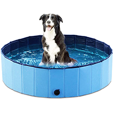 collpsible dog pool