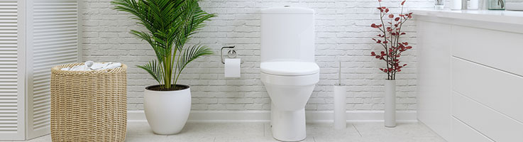 Average Cost To Install Or Replace A Toilet (2024 Guide) – Forbes Home