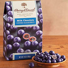 chocolate covered blueberries