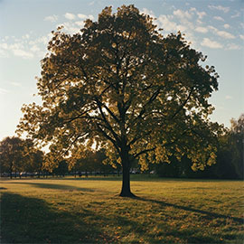 How much life insurance do I need? image