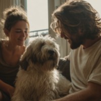 a pet dog sitting in the middle of two people