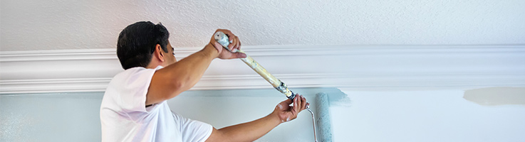 painter painting an interior wall