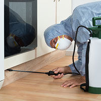 exterminator spraying pesticide on cabinet of kitchen