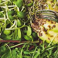 How to speed up your metabolism image