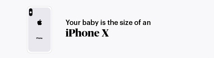 pregnancy marker iphone x