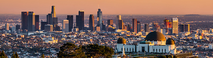 Gorilla Pest Control Reviews - Los Angeles, CA