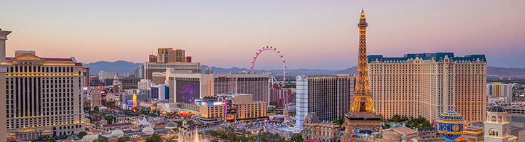 las vegas skyline