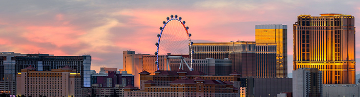 las vegas skyline