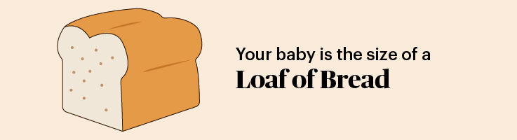 pregnancy marker loaf of bread
