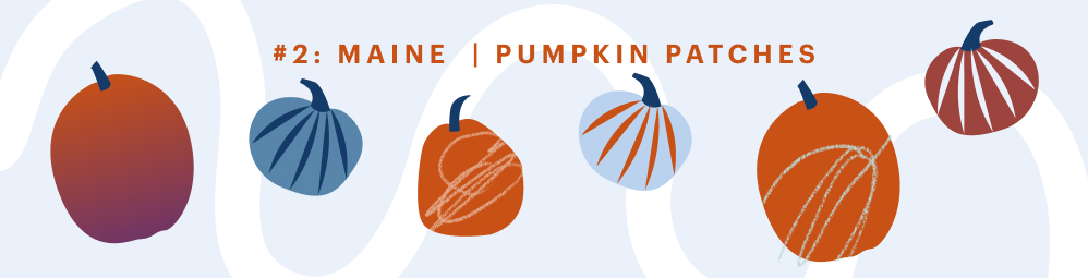 maine halloween pumpkin patch