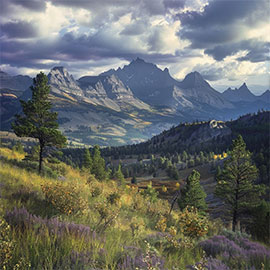 How to do a Montana change of address image