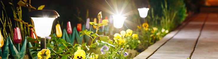 solar lights lit up in a flower bed