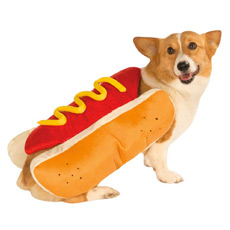 Hot dog costume for dog