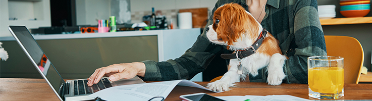 puppy and owner at table