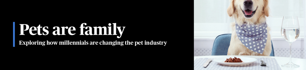 pets are family header graphic