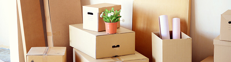 moving boxes piled on the floor