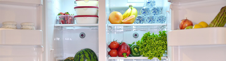 https://media.consumeraffairs.com/files/caimages/refrigerators-large.jpg