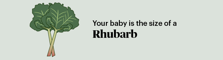 pregnancy marker rhubarb