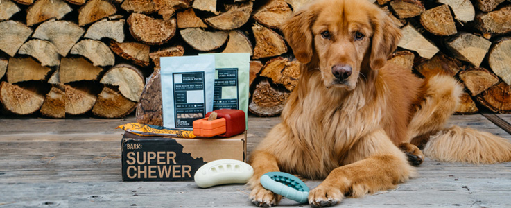 barkbox super chewer price