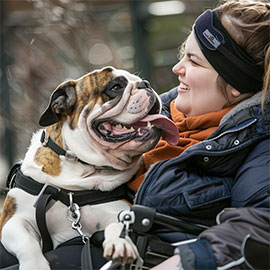 What disabilities qualify for an emotional support animal? image