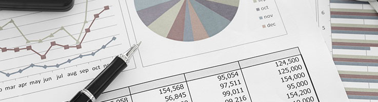 document displaying graphs, charts and numbers