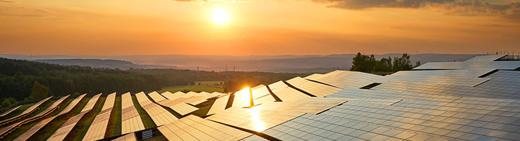 solar panels under the sunset