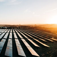rows of solar panels at sunrise