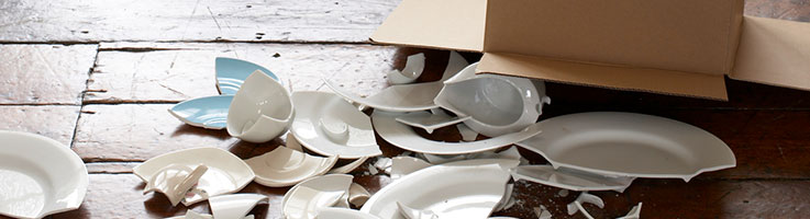 broken plates on ground