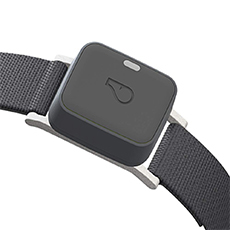 location tracker collar