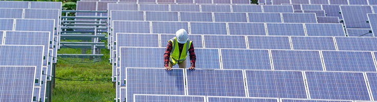 technician inspecting solar panels