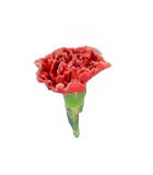 Mini Carnation