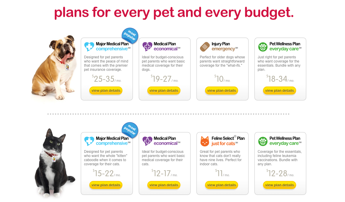 21 Images Pet Insurance Comparison Chart 2018