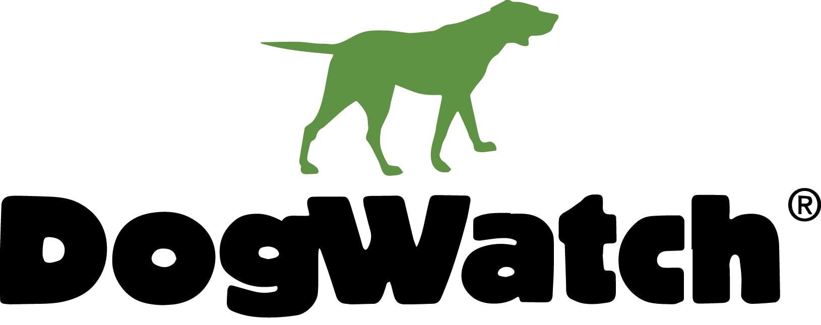 Find The Best Electric Dog Fences Consumeraffairs